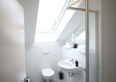Toilet with skylight